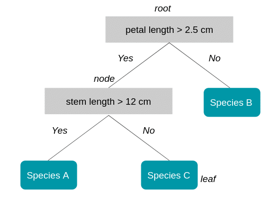 Decision Tree