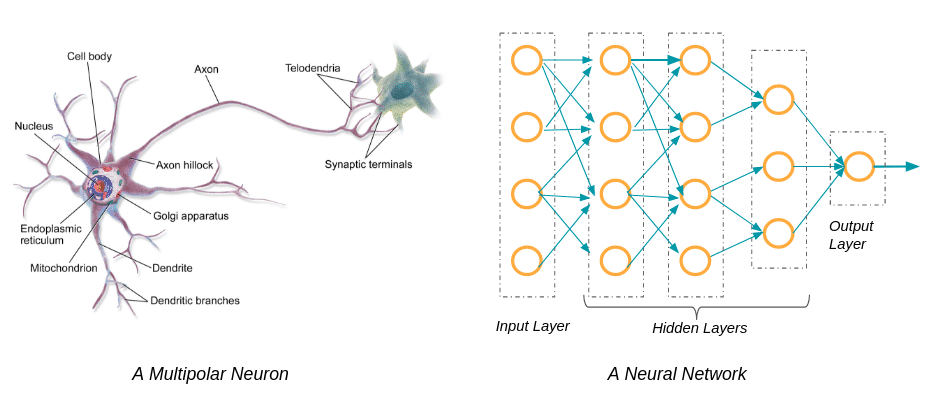 neural network vs neuron