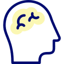 brain