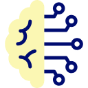 brain